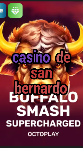 casino de san bernardo-w4cy2mdjlx2bf.com